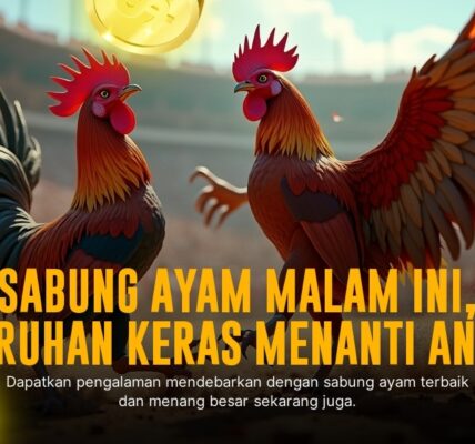 Kehebatan Ayam Bangkok dalam Dunia Sabung Ayam Online