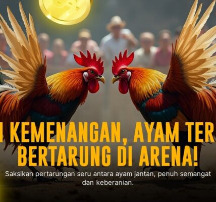 Mengenal Ayam Bangkok: Raja Sabung Ayam dengan Odds Menarik di SV388