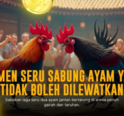 Mengenal Ayam Bangkok: Raja Sabung Ayam dengan Odds Terbaik