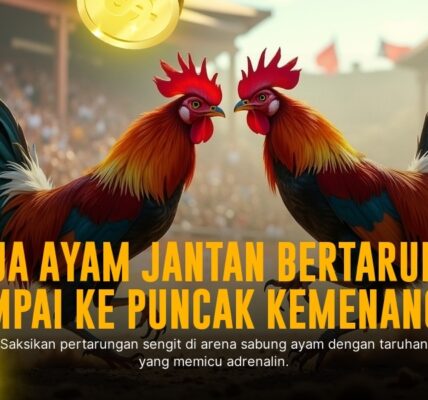 Mengenal Ayam Bangkok: Raja Sabung Ayam yang Gacor