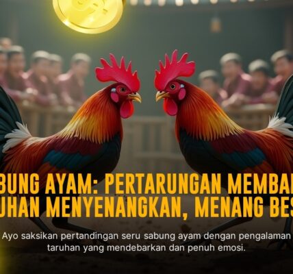 Mengenal Jenis Ayam Bangkok Dalam Sabung Ayam SV388